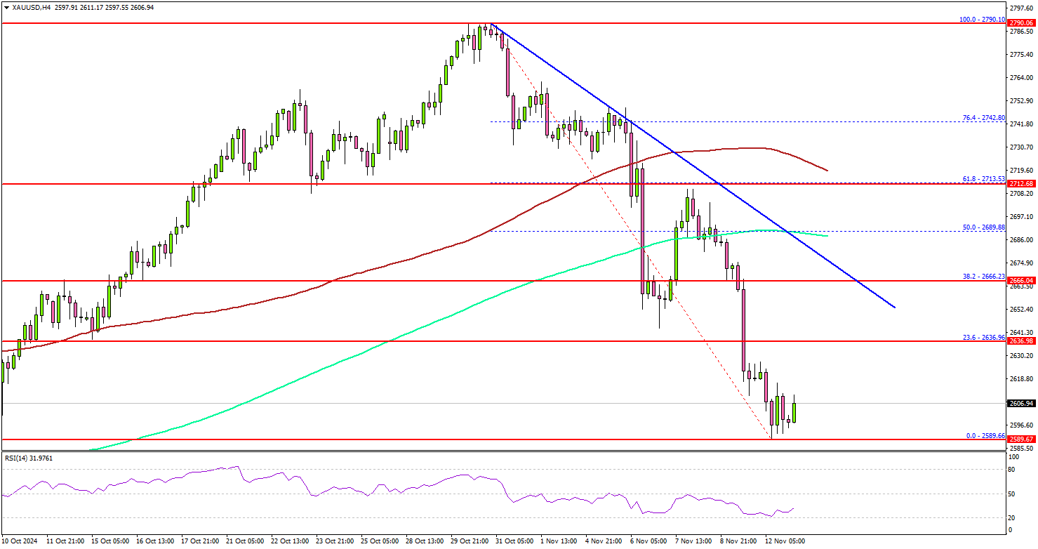 黄金面临挫折：能否很快反弹？